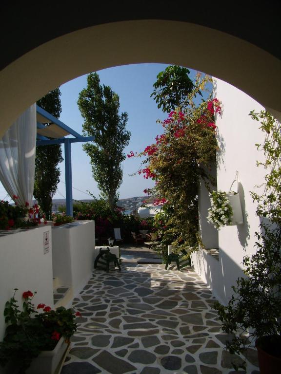 Panorama Paros Hotel Værelse billede