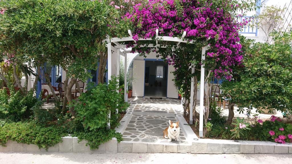 Panorama Paros Hotel Eksteriør billede